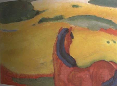 Franz Marc Horse in the Landsacape (mk34) Germany oil painting art